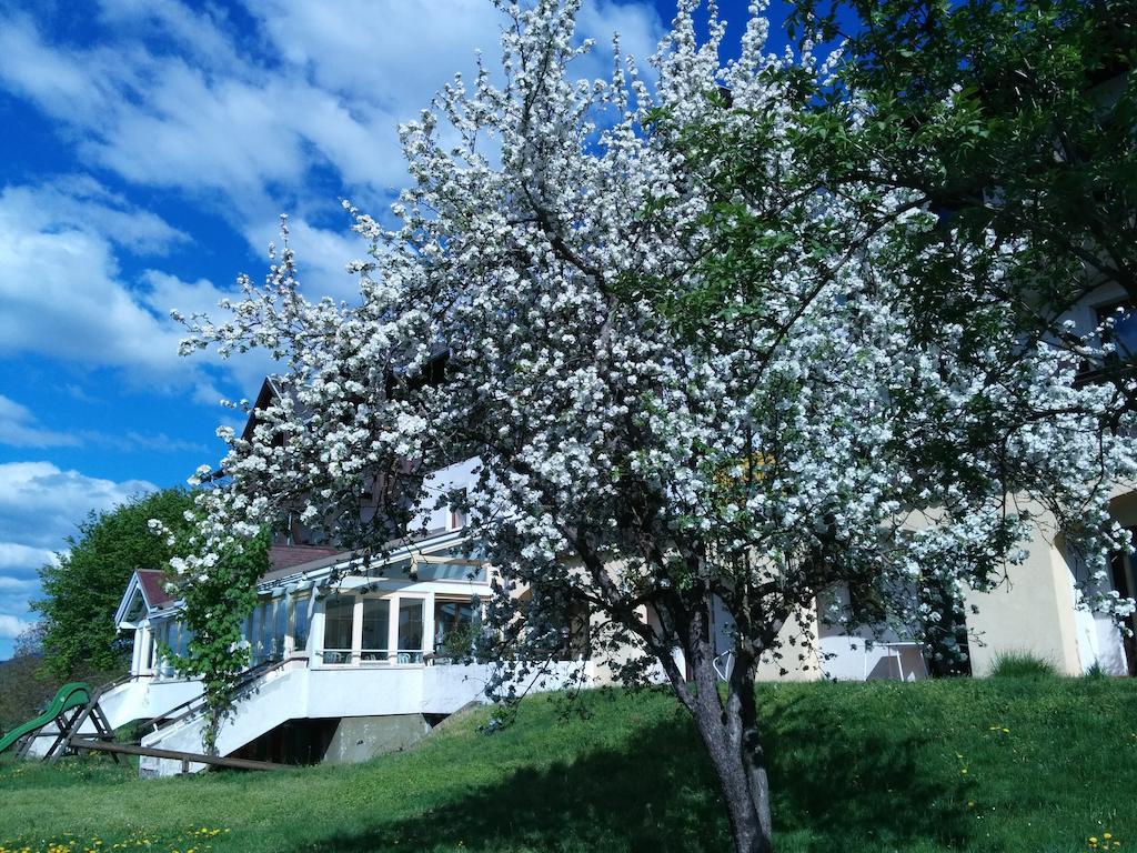 Ferienwohnungen Fiala-Koefer Pörtschach am Wörthersee Dış mekan fotoğraf